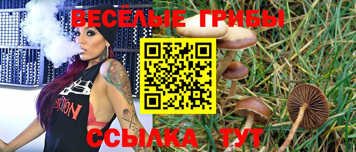 Кизилюрт  Псилоцибиновые грибы мицелий  Вход с VPN  Галлюциногенные грибы прущие грибы 